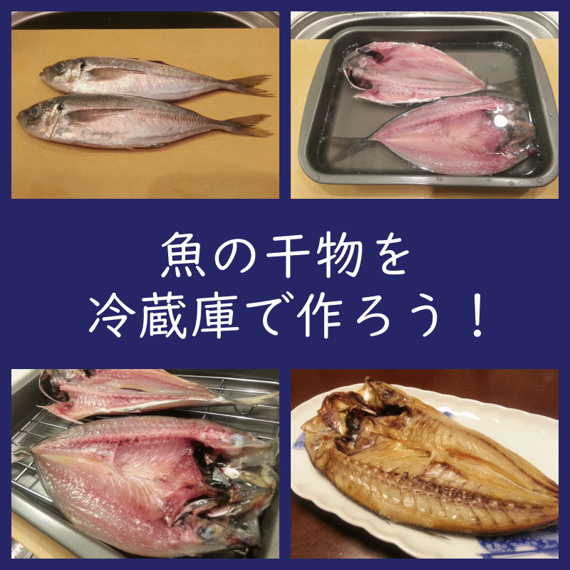 【干し網 不要】冷蔵庫で出来る「魚の干物」作り方（アジ）