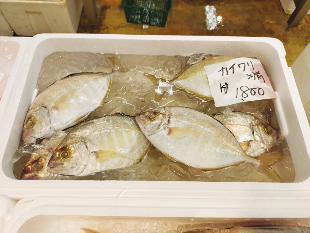 魚市場に売っていたカイワリの写真